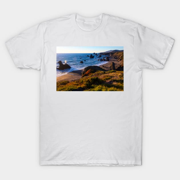 Coastal Bluffs On Sonoma Coast T-Shirt by photogarry